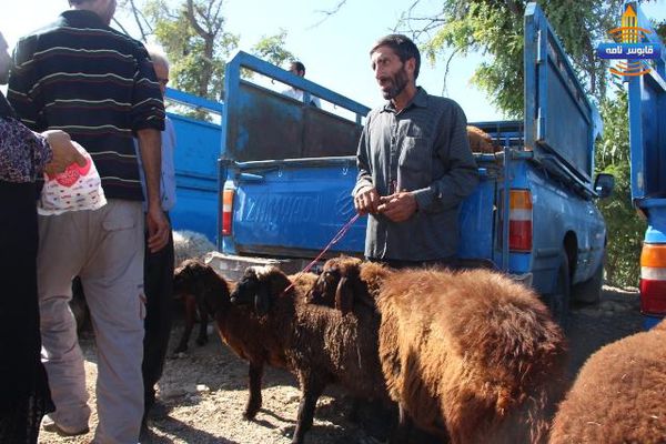 تصاویر/ حال و هوای مال بازار گنبد در ساعاتی قبل از عید قربان
