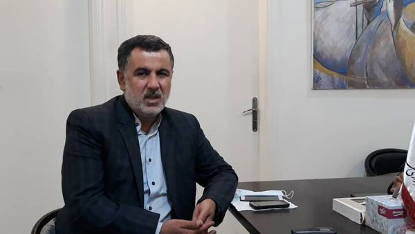 خرید تضمینی آفتابگردان در گلستان آغاز شد

